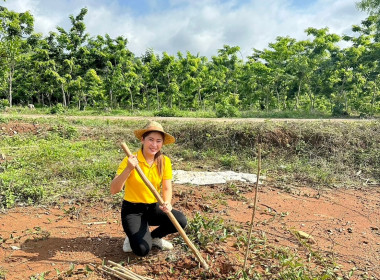 จัดกิจกรรมปลูกต้นไม้ ภายใต้โครงการ &quot;สหกรณ์อาสา ทำความดี ... พารามิเตอร์รูปภาพ 14